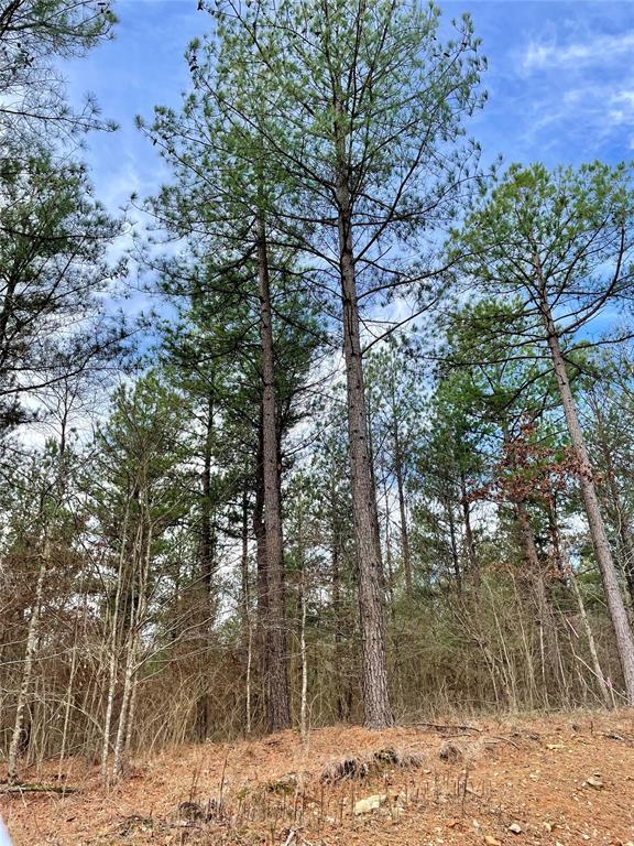 749 Timber Creek Trails South Xi Property Photo 1
