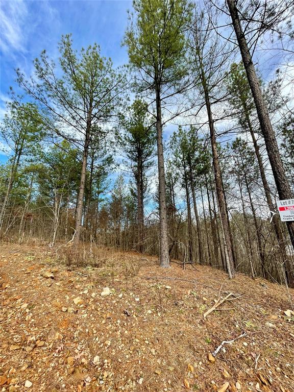 751 Timber Creek Trails South Xi Property Photo 1