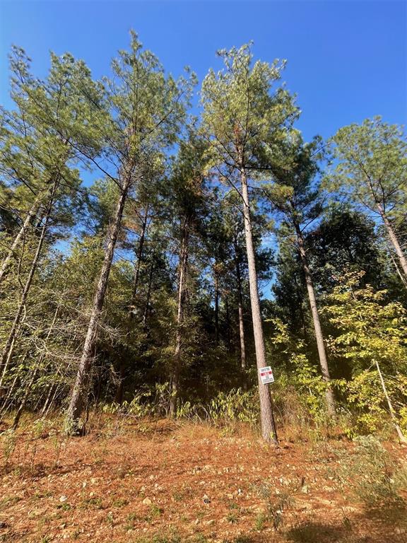 758 Timber Creek Trails South XI Property Photo 1