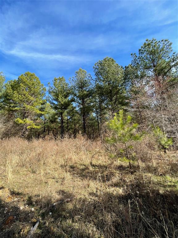 761 Timber Creek Trails South XI Property Photo 1
