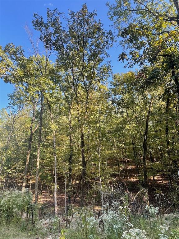 767 Timber Creek Trails South Xi Property Photo 1