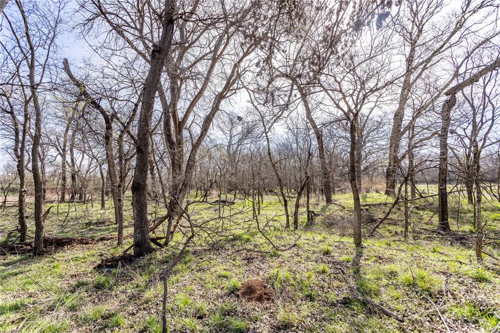White Tail Road Property Photo 2
