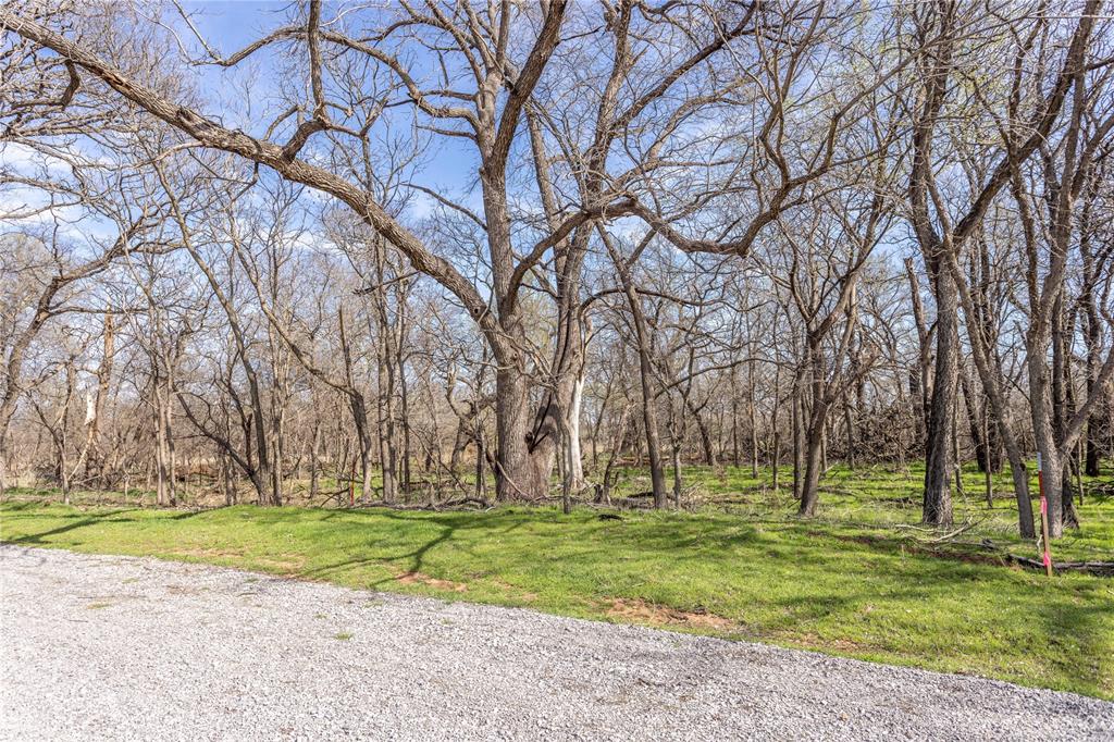 White Tail Road Property Photo 1
