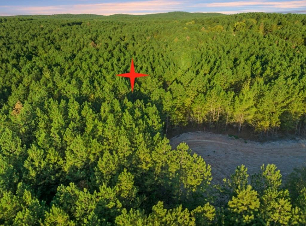 000 Tbd Whispering Willow Trail Property Photo