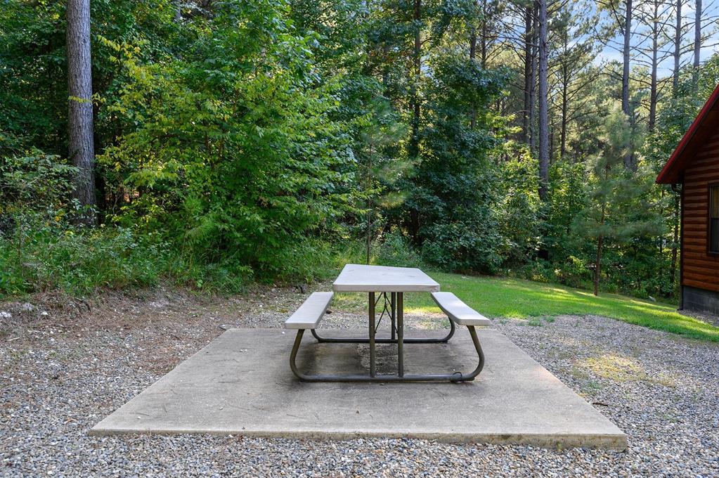 447 Long Pine Trail Property Photo 43