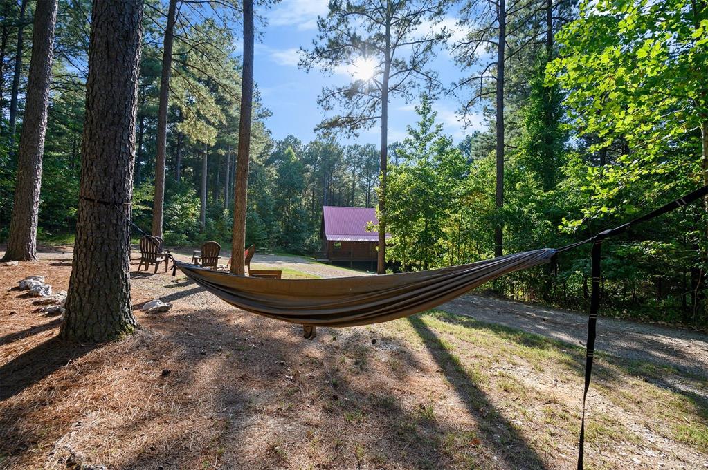 447 Long Pine Trail Property Photo 45