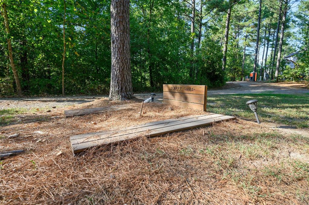 447 Long Pine Trail Property Photo 46