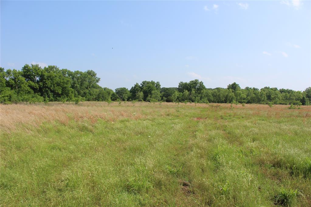 1115662 Property Photo 2