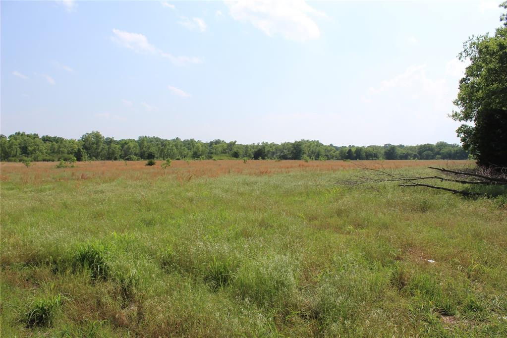 1115662 Property Photo 3