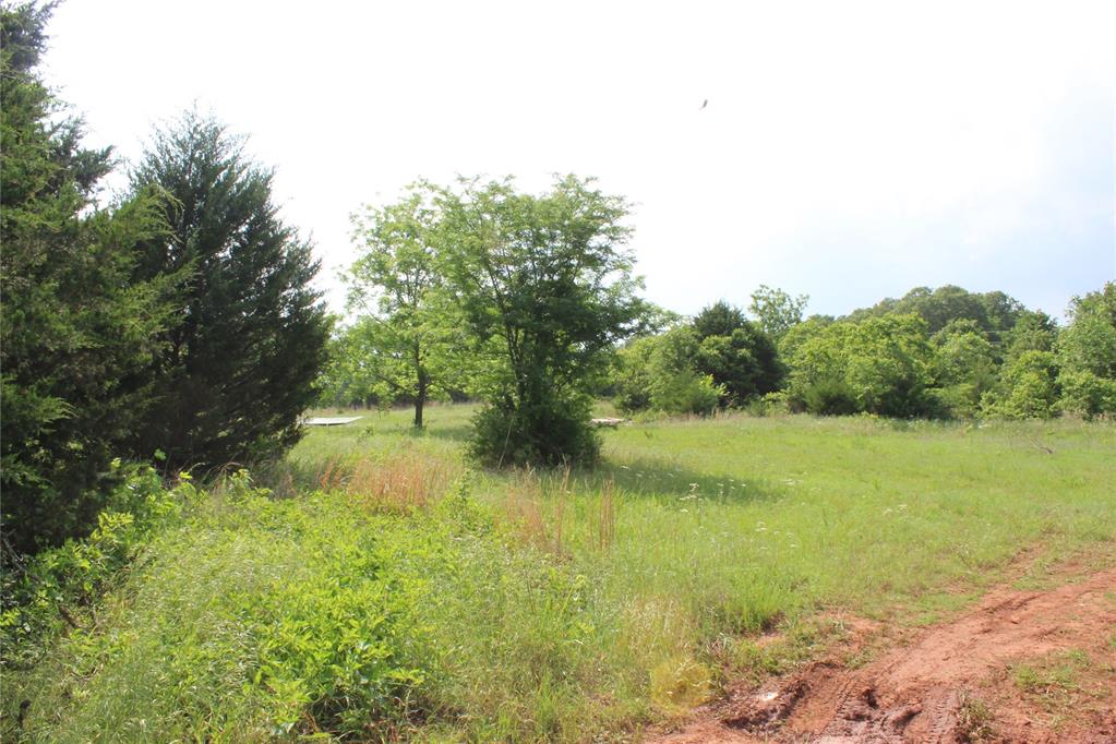 1115662 Property Photo 4