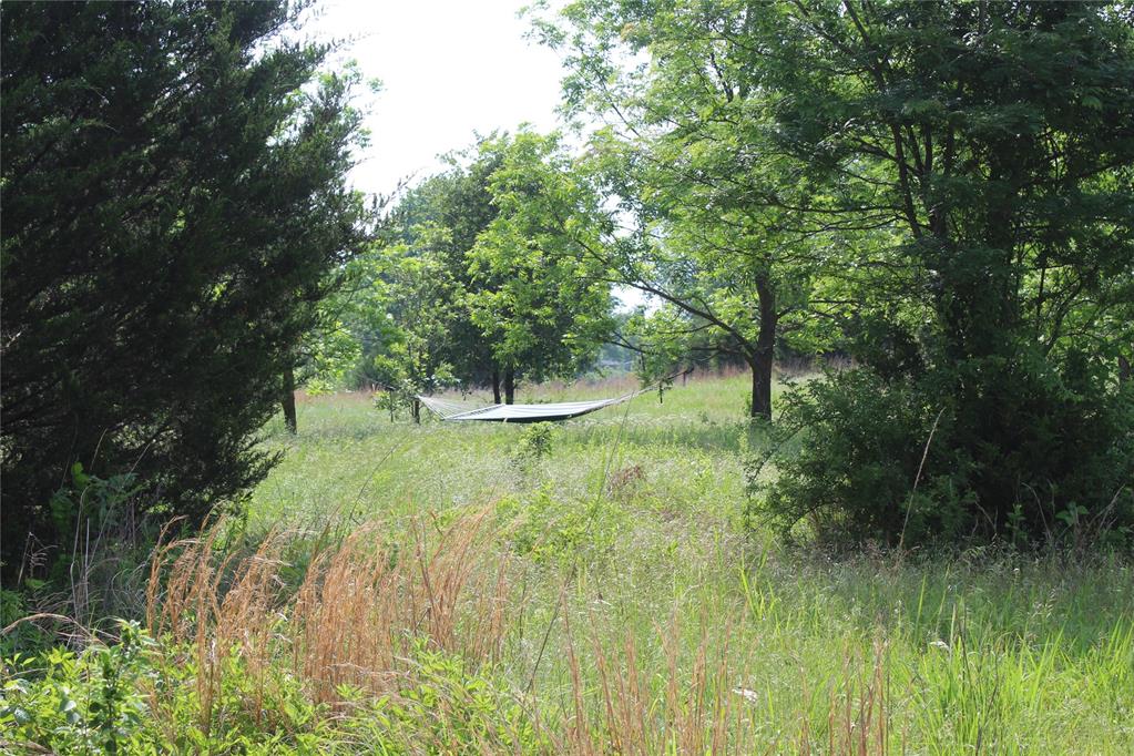 1115662 Property Photo 5