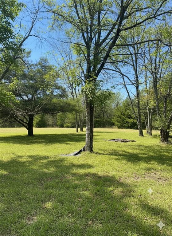 798 S Valliant Bypass Road Property Photo 5