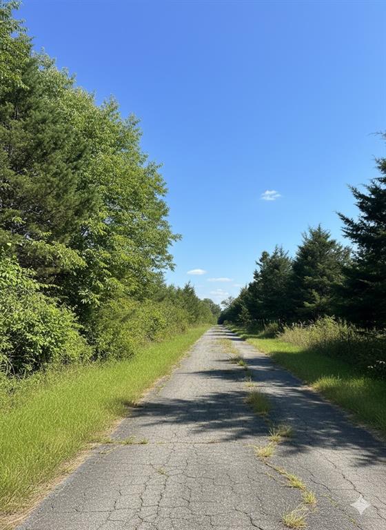 798 S Valliant Bypass Road Property Photo 7