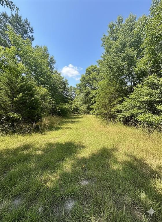 798 S Valliant Bypass Road Property Photo 11