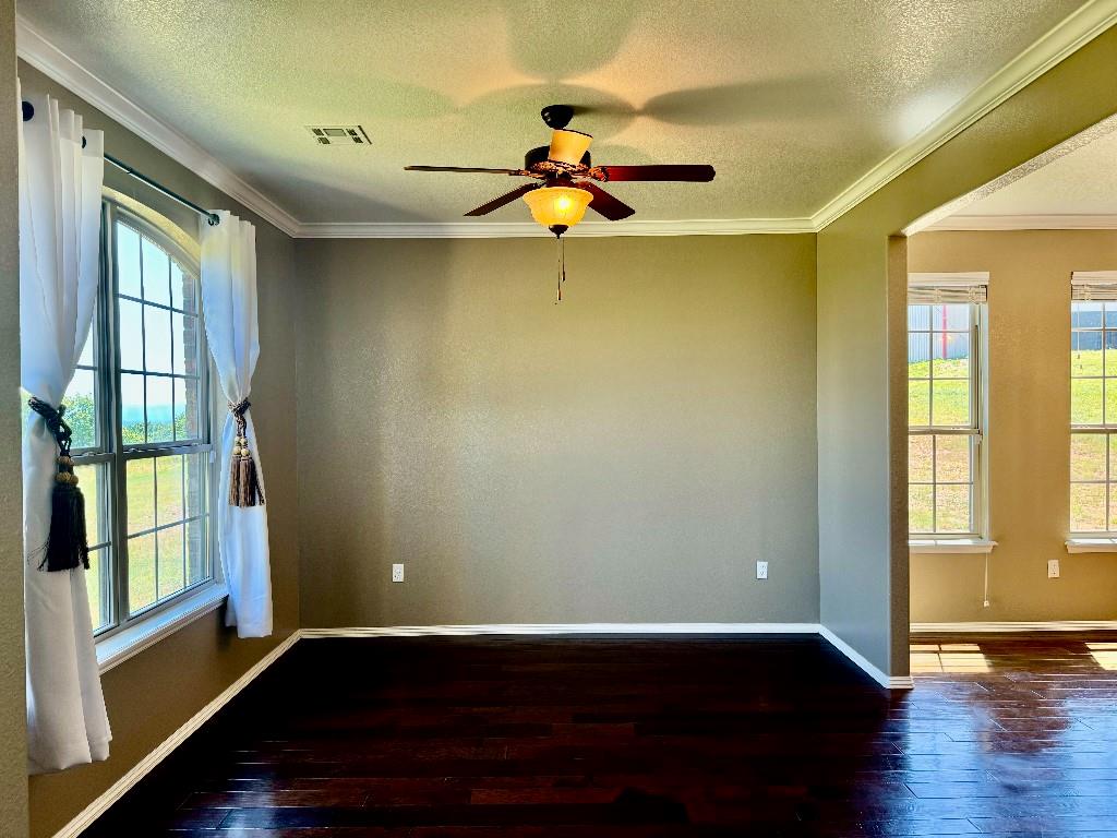 59917 350th Avenue Property Photo 12