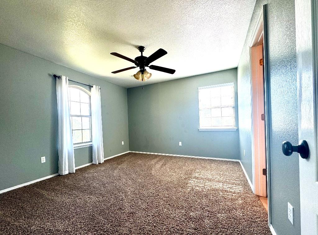 59917 350th Avenue Property Photo 42