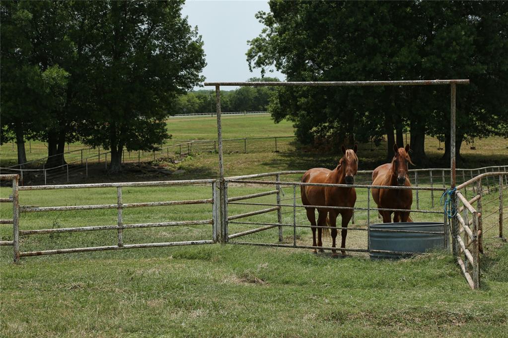 12555 Ok Highway 7e Property Photo 3