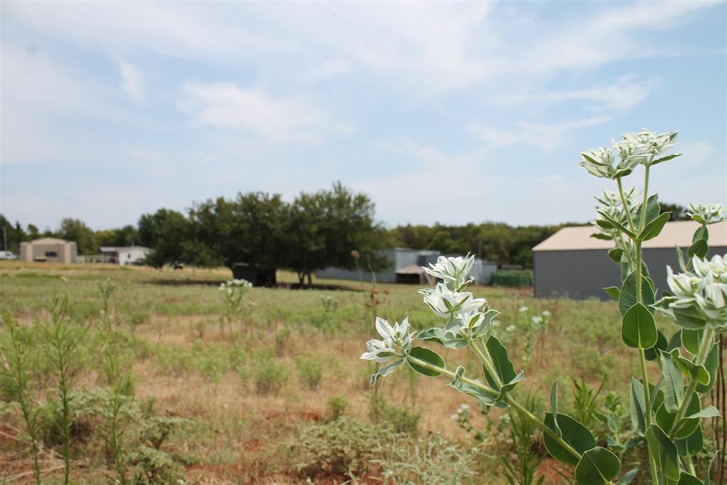 667 County Road 1410 Road Property Photo 36