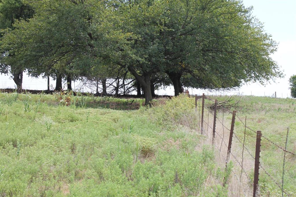 667 County Road 1410 Road Property Photo 42