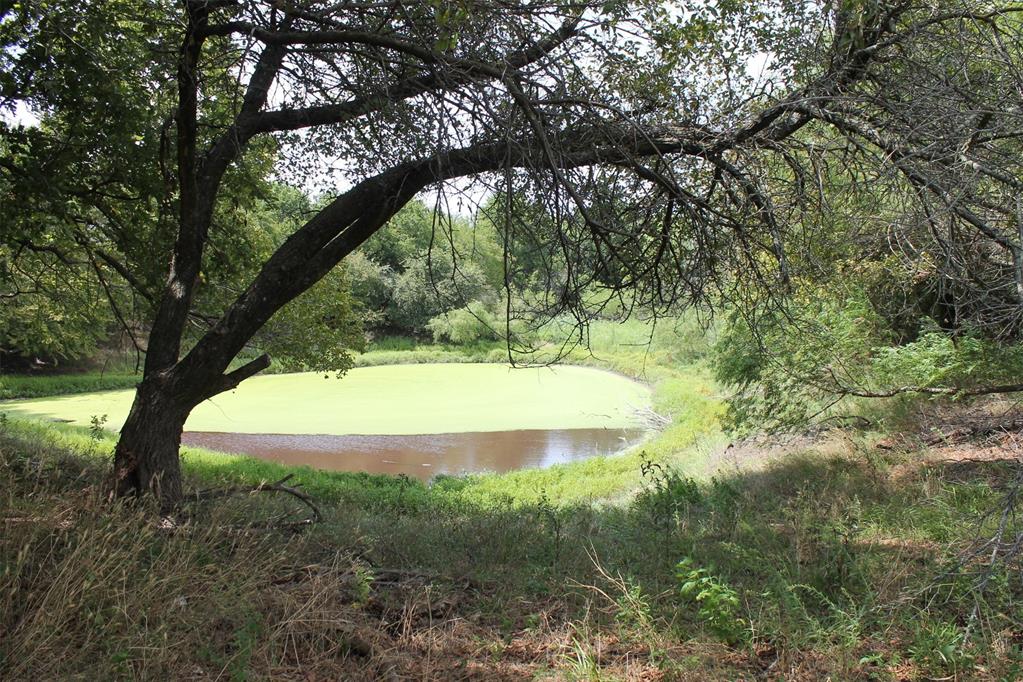 667 County Road 1410 Road Property Photo 43