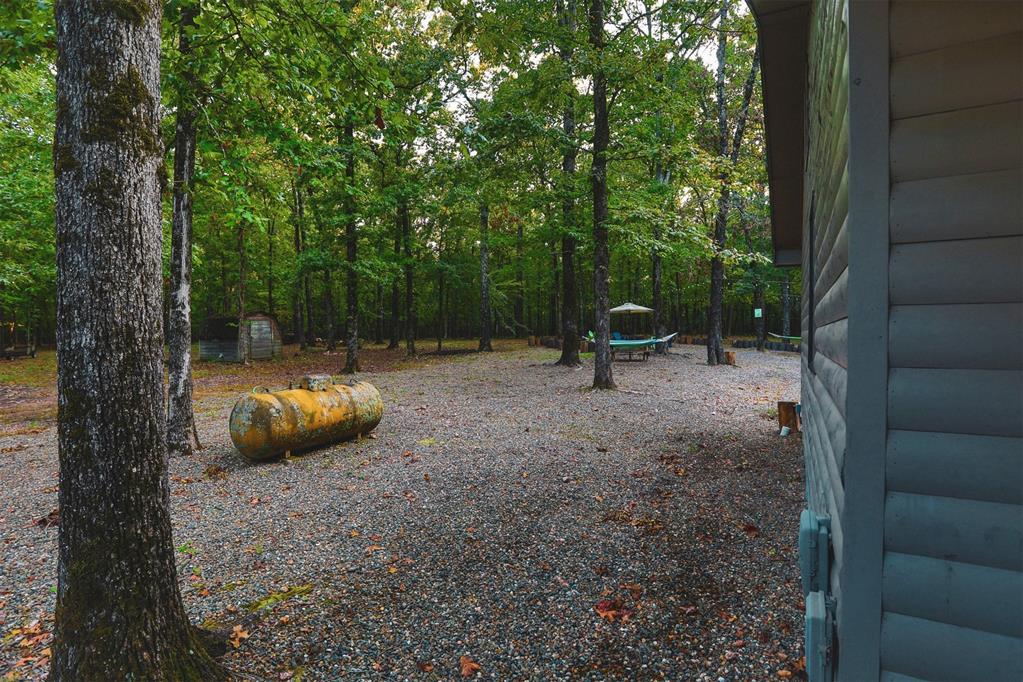 5089 N Us Hwy 259 Property Photo 5