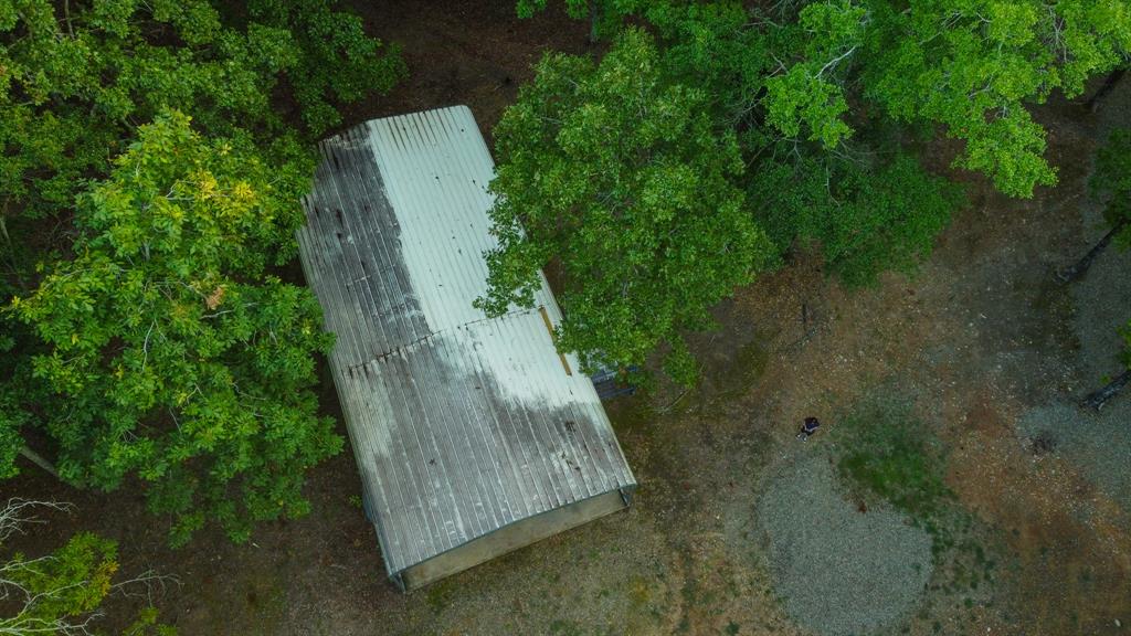 5089 N Us Hwy 259 Property Photo 25