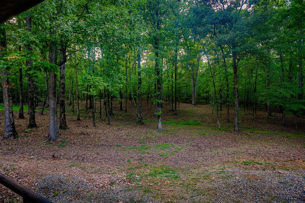 5089 N Us Hwy 259 Property Photo 26