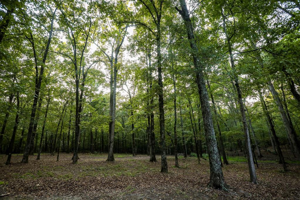 5089 N Us Hwy 259 Property Photo 28