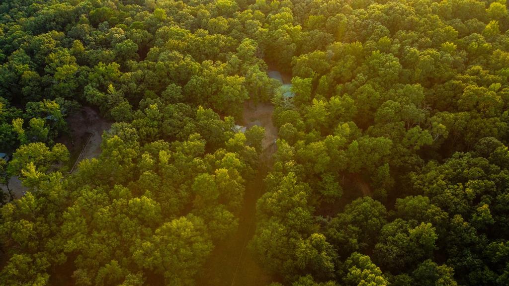 5089 N Us Hwy 259 Property Photo 29