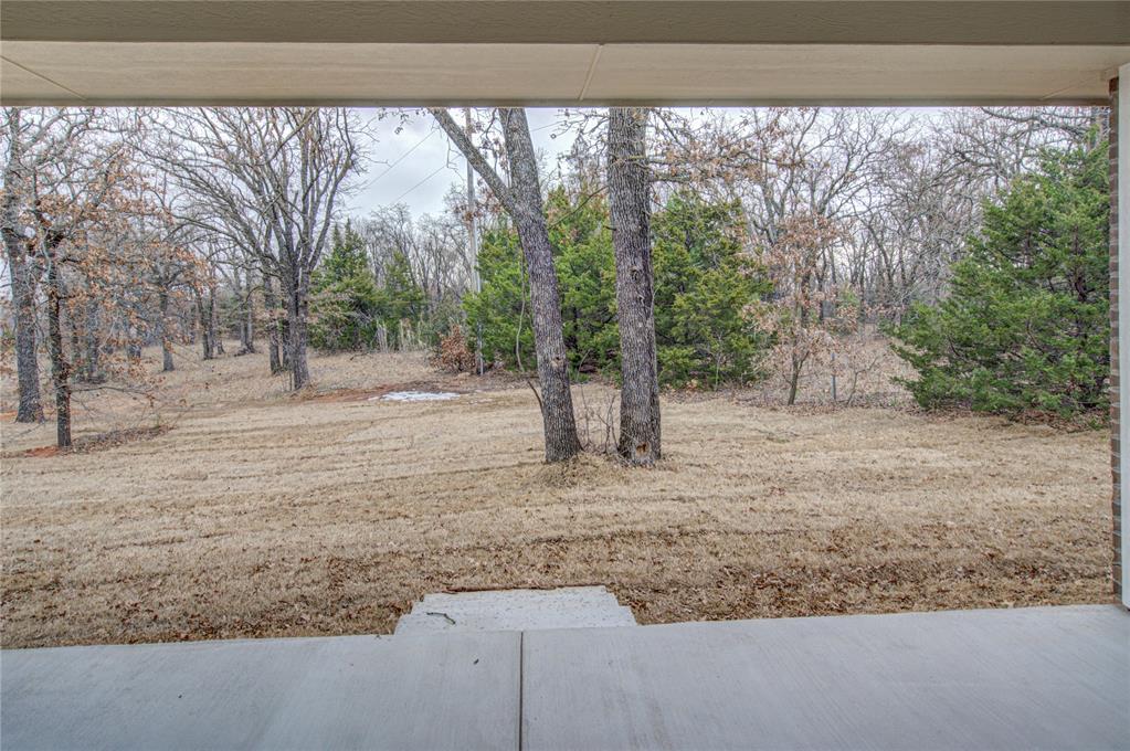 11160 Black Lion Court Property Photo 48