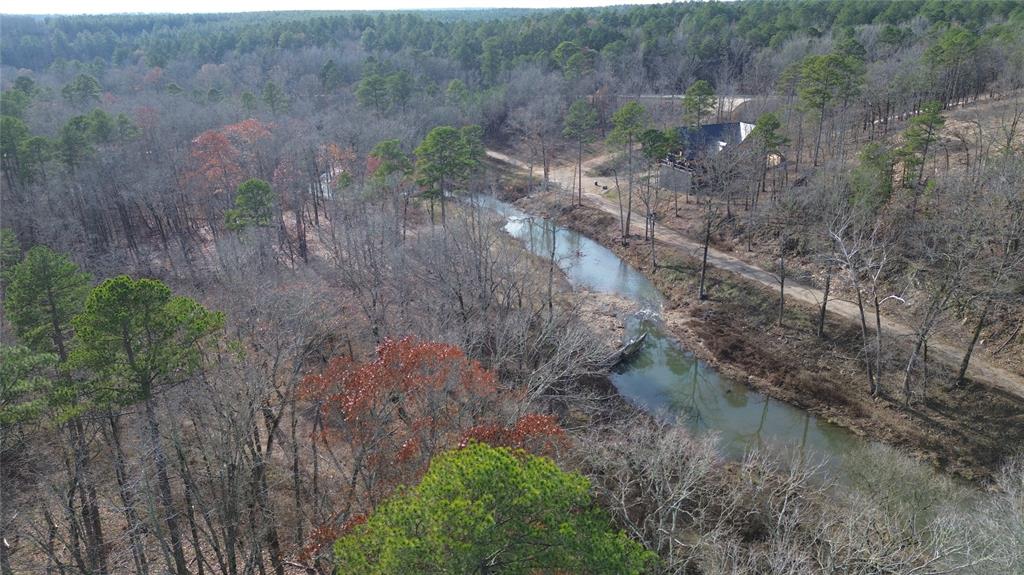 94 Ironwood Creek Trail Property Photo 5
