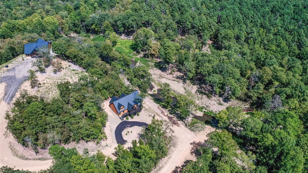 94 Ironwood Creek Trail Property Photo 50