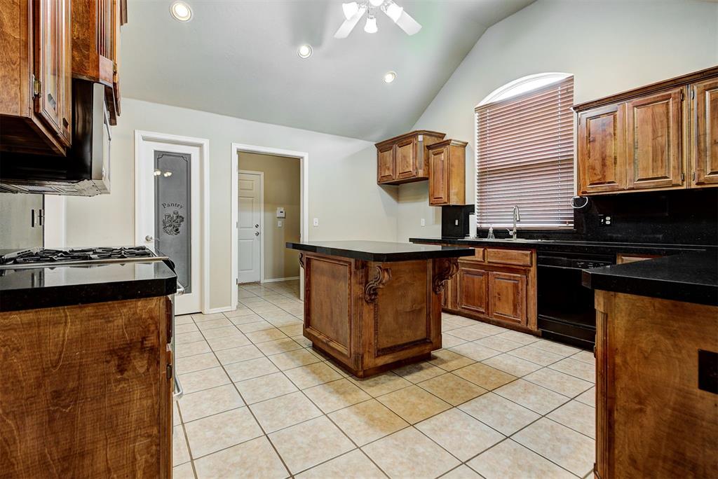 11620 Blue Sky Drive Property Photo 18