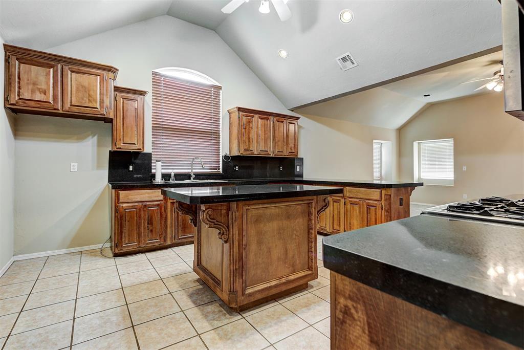 11620 Blue Sky Drive Property Photo 19