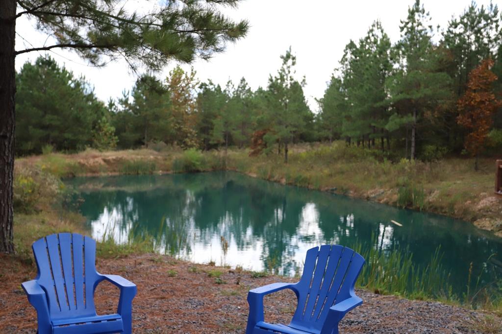 102 Crooked Stick Trail Property Photo 4