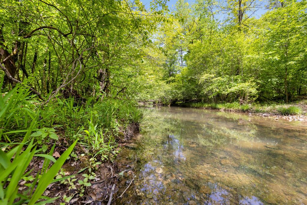372 Timber Creek Trail Property Photo 3