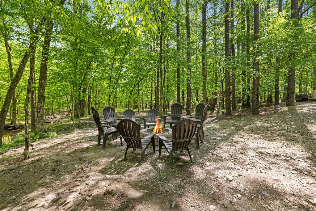 372 Timber Creek Trail Property Photo 44