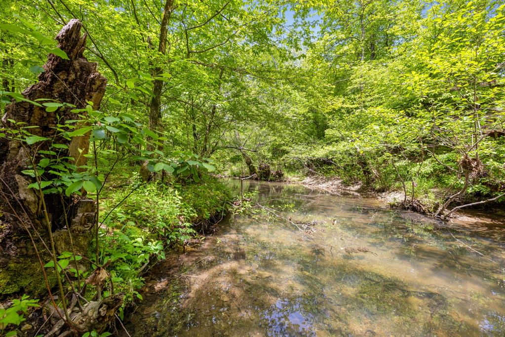 372 Timber Creek Trail Property Photo 45