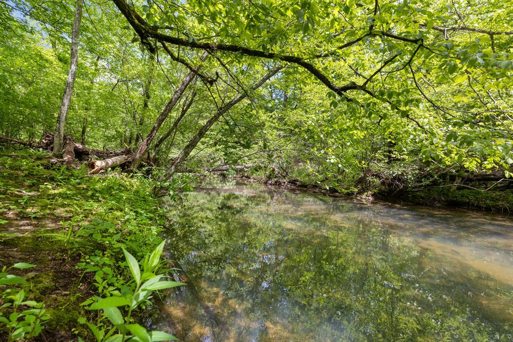 372 Timber Creek Trail Property Photo 46