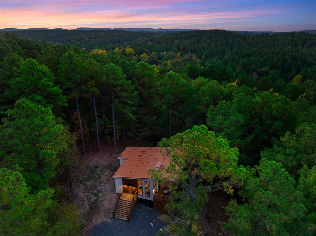 62 Sharp Holly Trail Property Photo 8