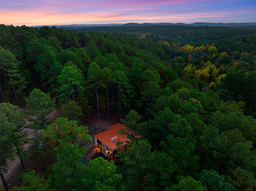 62 Sharp Holly Trail Property Photo 10
