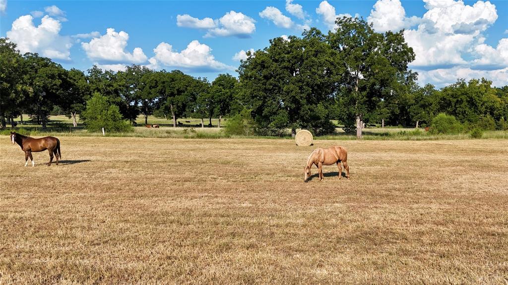 99126 N 3620 Road Property Photo 50