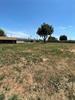 315 W Almar Drive Property Photo 8