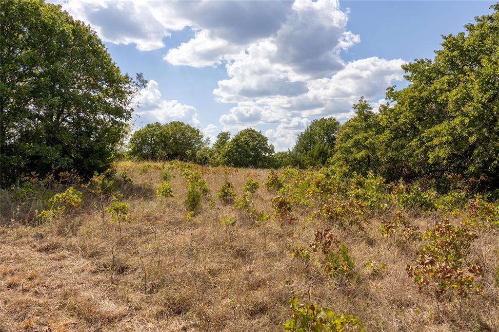 E State Highway 66 Highway Property Photo 10