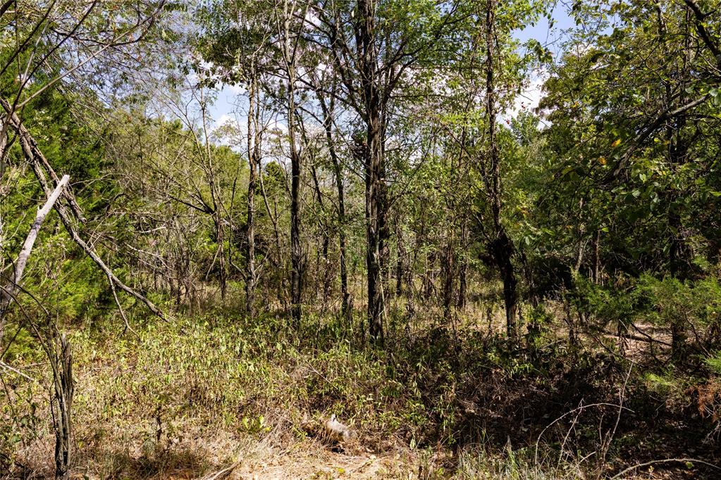 E State Highway 66 Highway Property Photo 15
