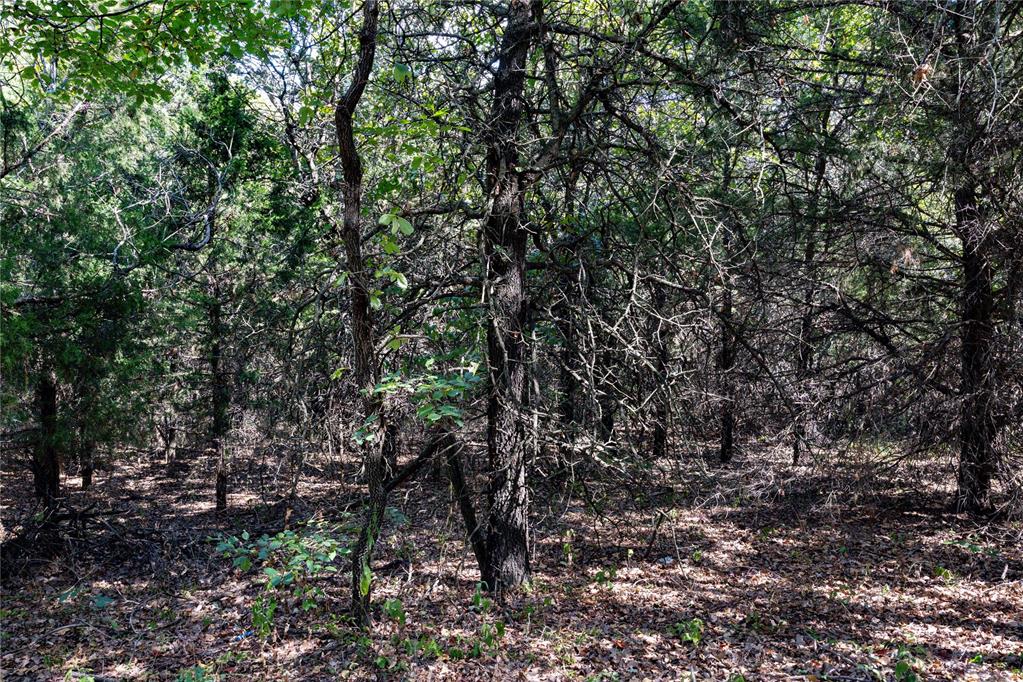 E State Highway 66 Highway Property Photo 16