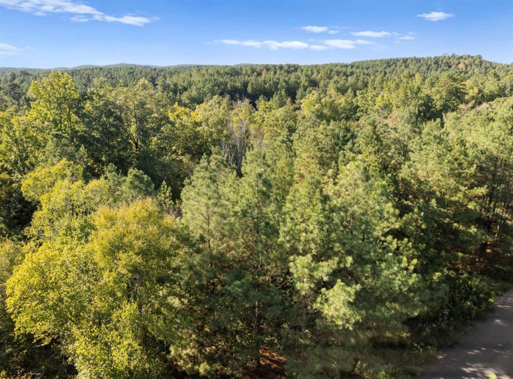 134 Creekside Trail Property Photo 1