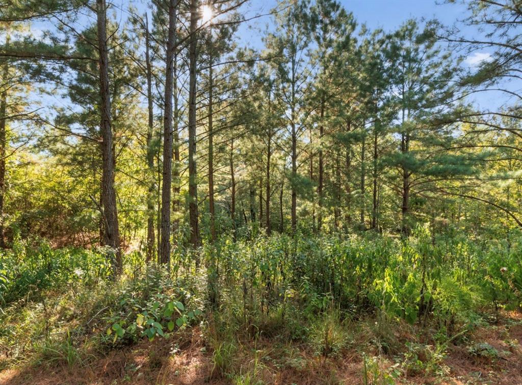 134 Creekside Trail Property Photo 8