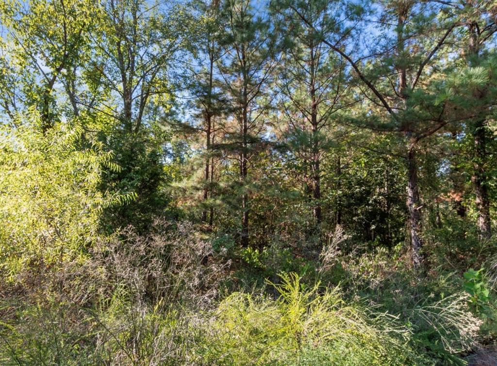 134 Creekside Trail Property Photo 11