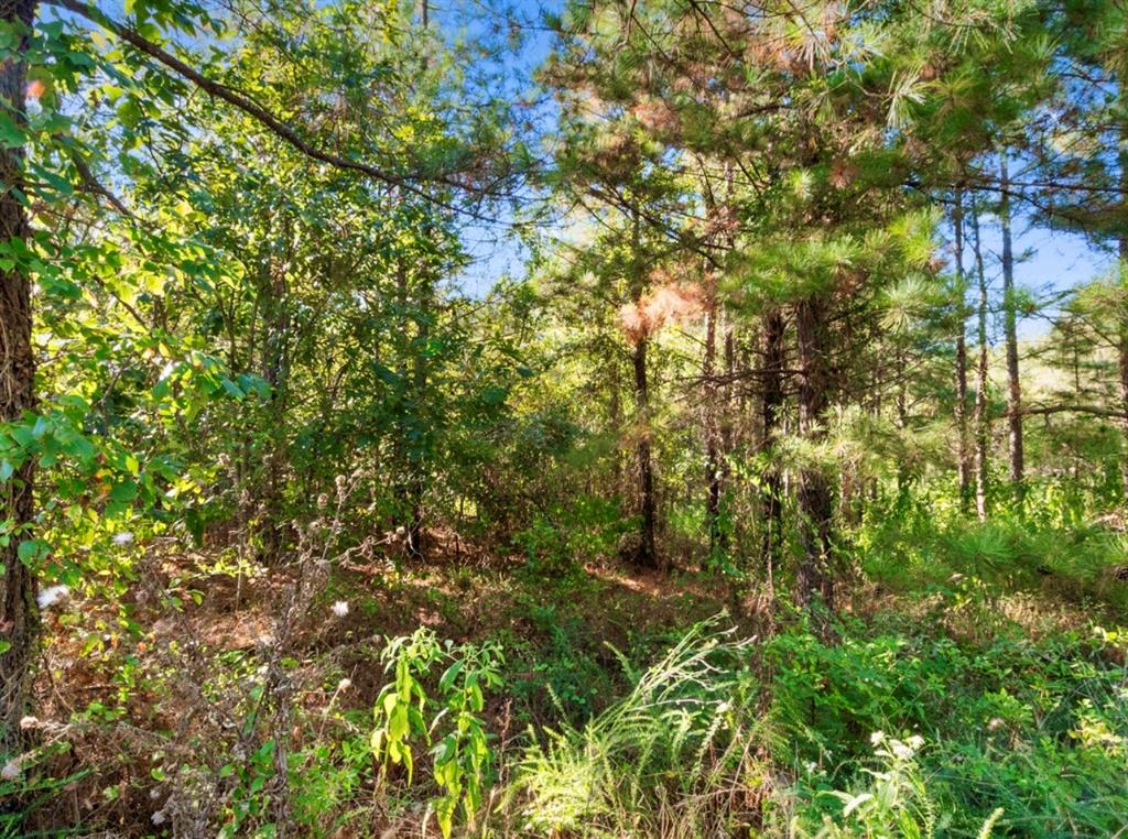 134 Creekside Trail Property Photo 12